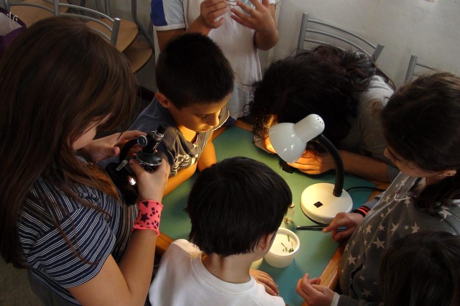 kids-183007_1280